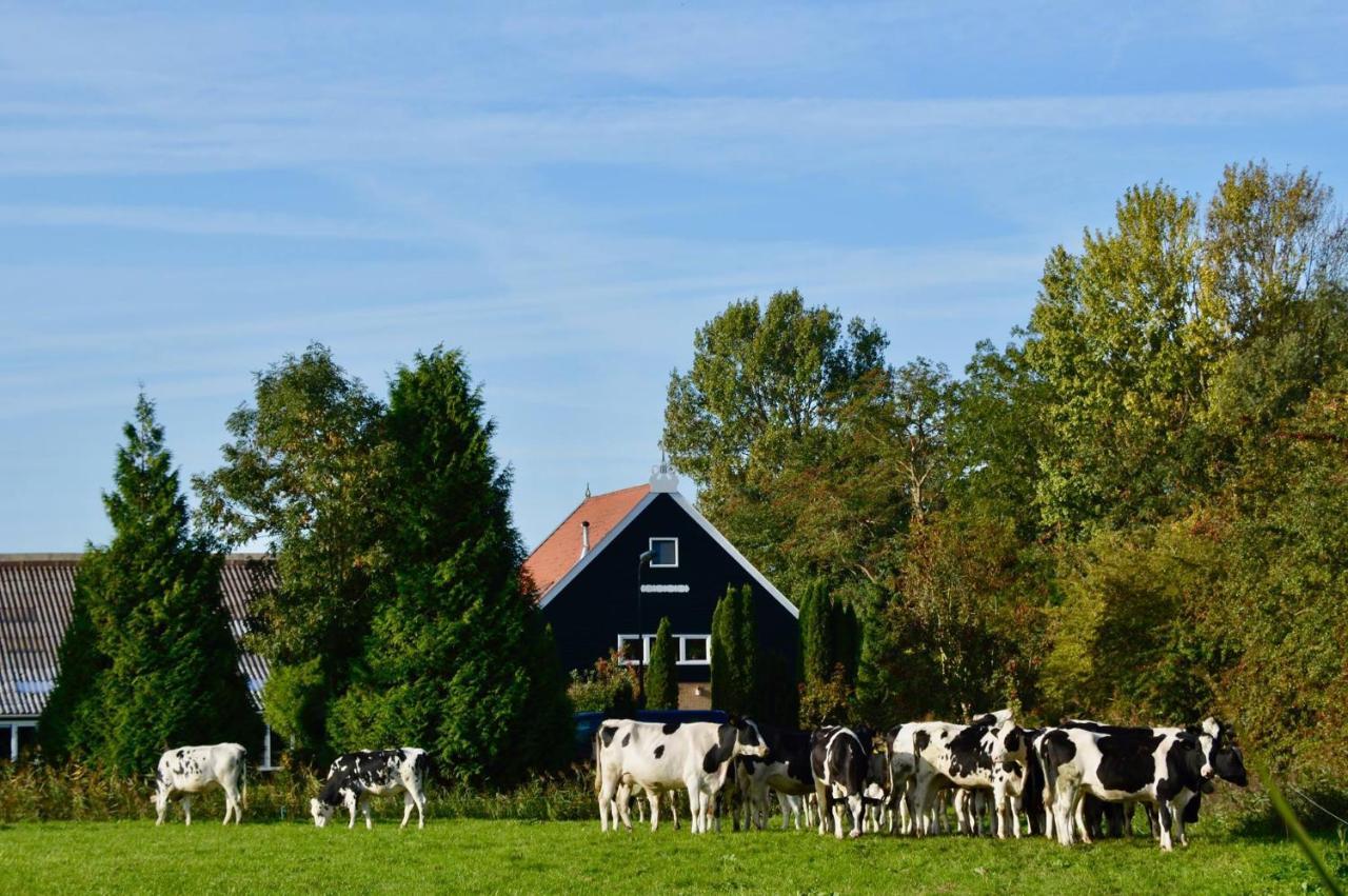 B&B Op Landgoed Koepeltjesplaats Gaast 外观 照片